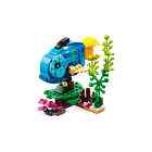 Loro Exótico - Reacondicionado 4