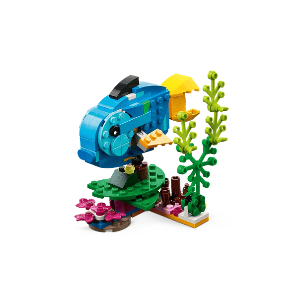 Loro Exótico - Reacondicionado 4