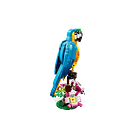 Loro Exótico - Reacondicionado 7