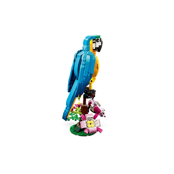 Loro Exótico - Reacondicionado 7