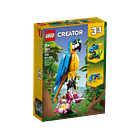 Loro Exótico - Reacondicionado 1