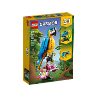 Loro Exótico - Reacondicionado