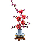 Flor de Ciruelo 2