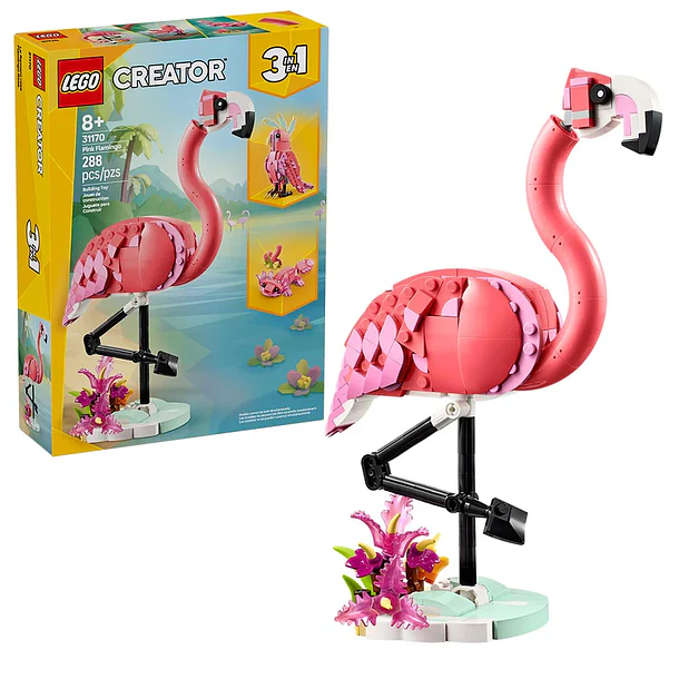 Fauna Salvaje: Flamenco Rosa 3