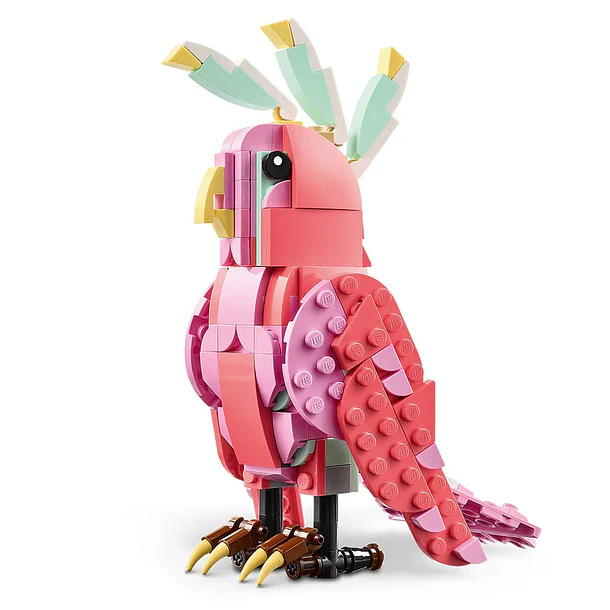 Fauna Salvaje: Flamenco Rosa 4