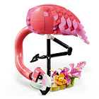 Fauna Salvaje: Flamenco Rosa 6