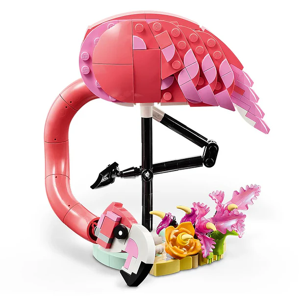 Fauna Salvaje: Flamenco Rosa 6