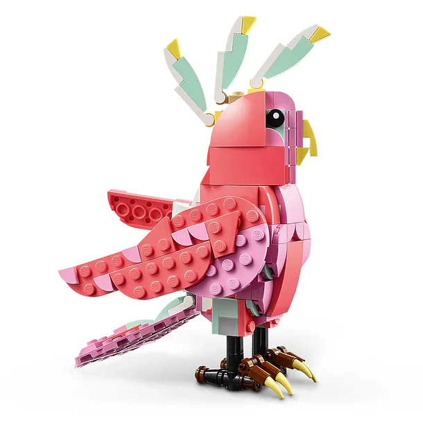 Fauna Salvaje: Flamenco Rosa 7