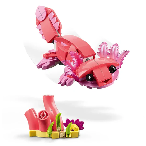 Fauna Salvaje: Flamenco Rosa 8