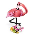 Fauna Salvaje: Flamenco Rosa 9
