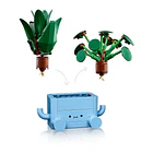 Plantas Felices - botanicals 4