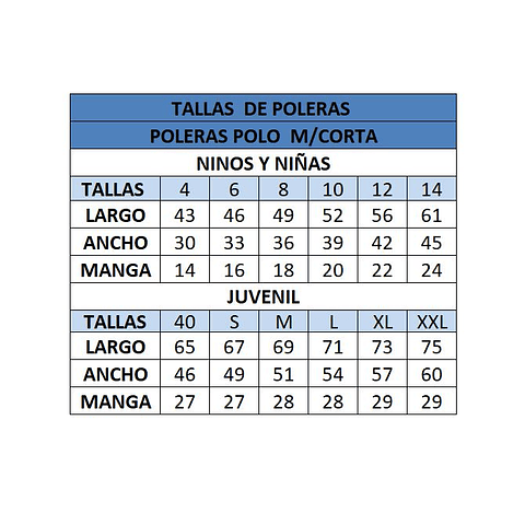 POLERA MANGA CORTA COLEGIO CONCEPCION HUALQUI