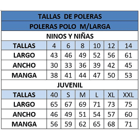 POLERA MANGA LARGA CC. PEDRO DE VALDIVIA