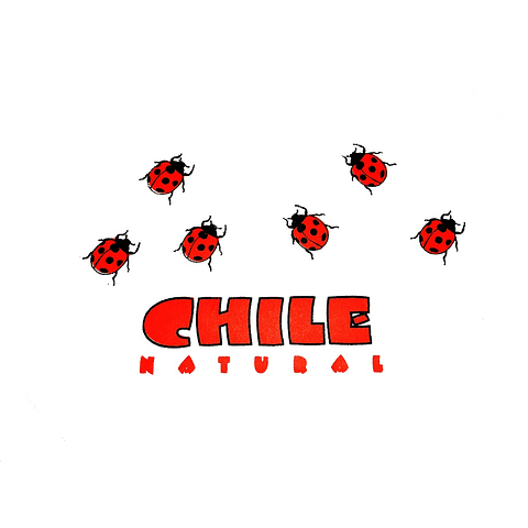 CATALOGO DE TRANSFER TURISTICO