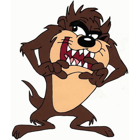 CATALOGO TRANSFER CLASICOS