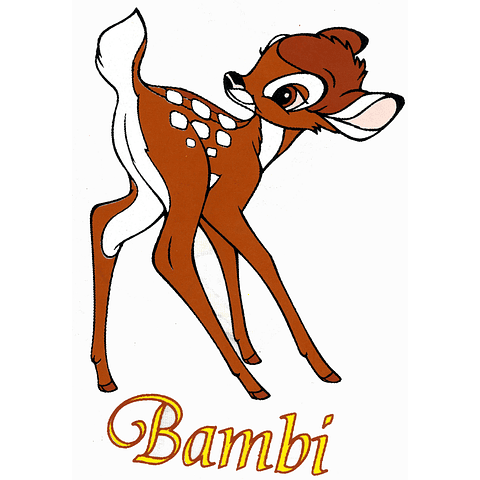 CATALOGO TRANSFER CLASICOS