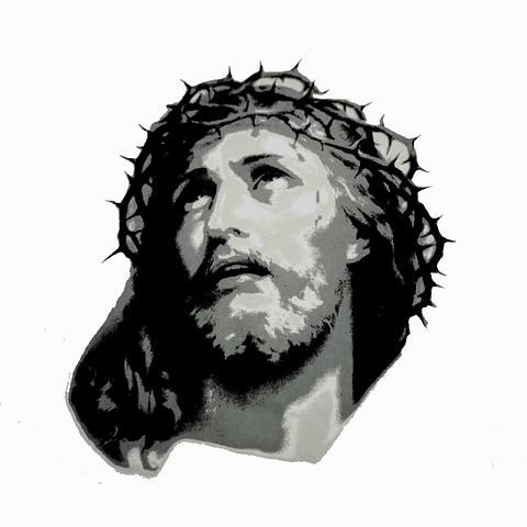 CATALOGO TRANSFER LIDERES Y PERSONAJES