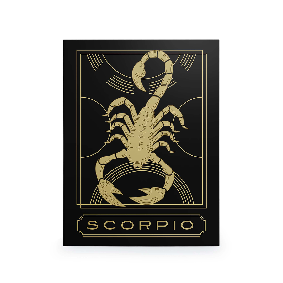 Pôster de Signo do Zodíaco 40x30cm  | Pronto a Pendurar 14