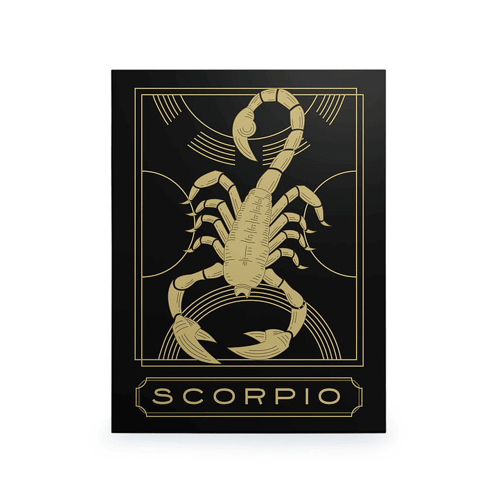 Pôster de Signo do Zodíaco 40x30cm  | Pronto a Pendurar 14