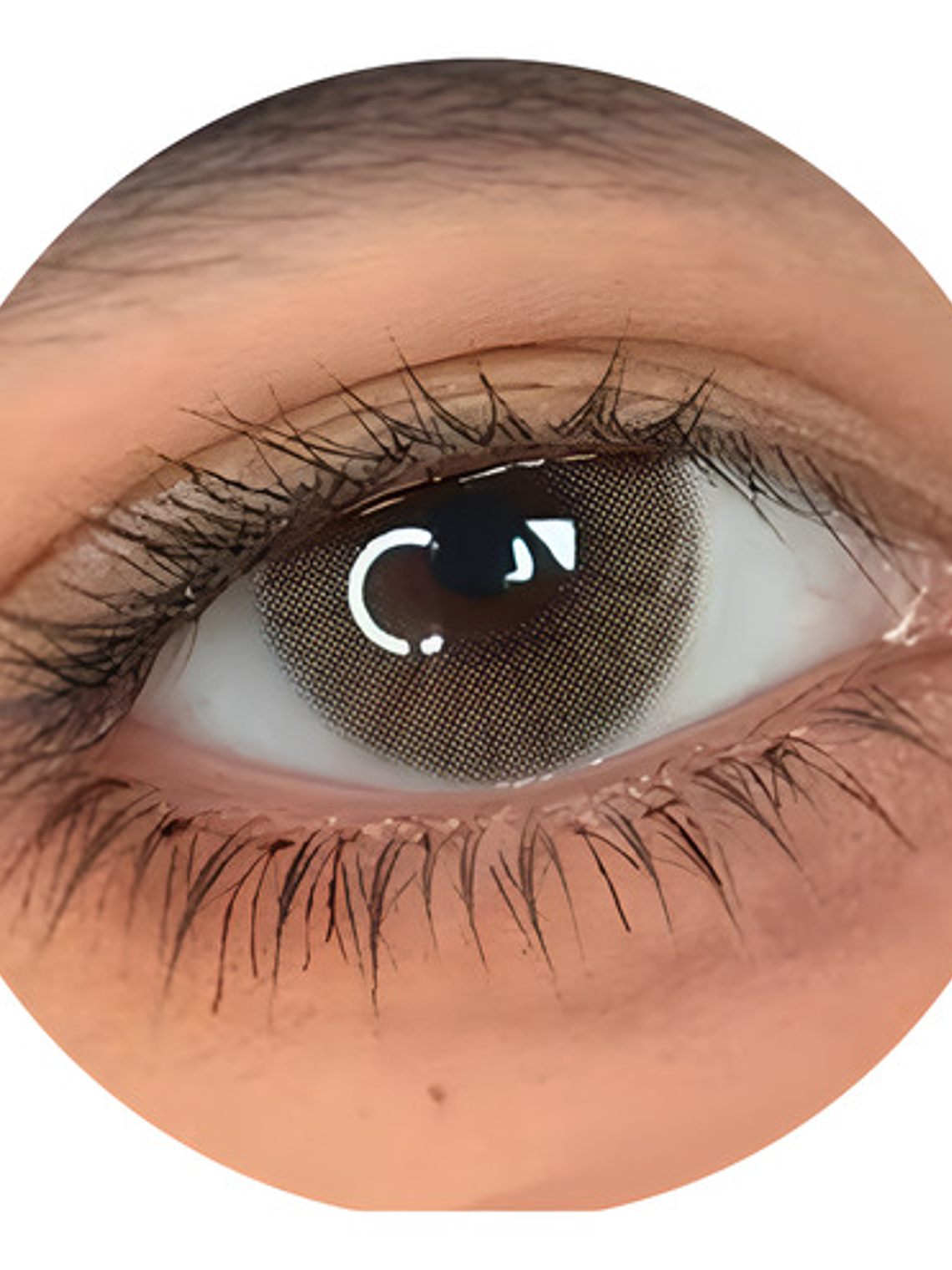 Lentes Marrones  Hidrocor Hazel 1