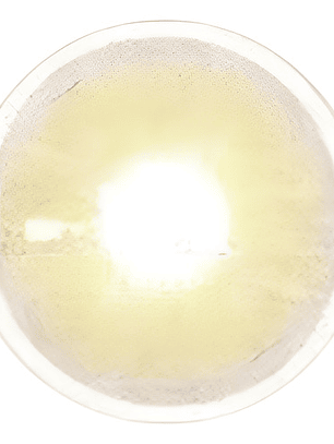 Lentes De Contacto  Color Meetone - Aurora Chesnout