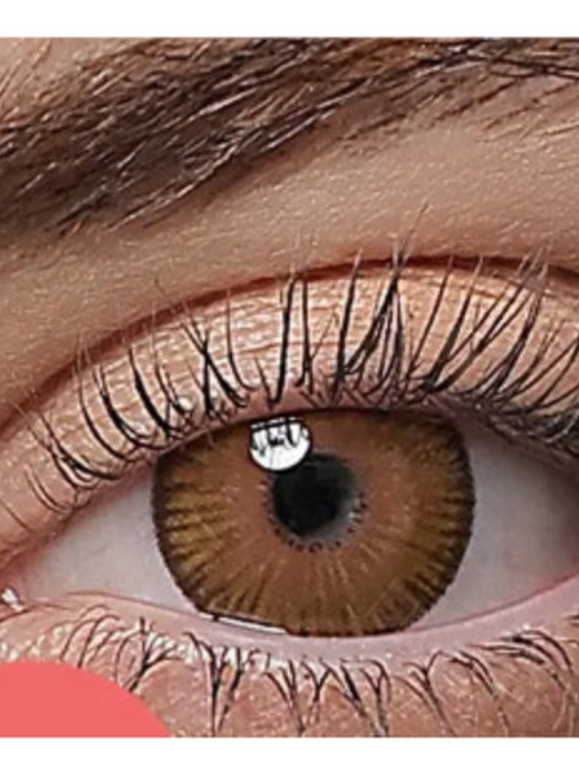 Lentes De Contacto Hidrocharme  Fiesta Hazel 2