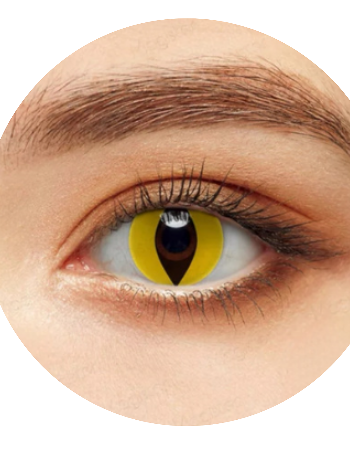 Lentes De Contacto Halloween, Cosplay Anime- GATO AMARILLO 1