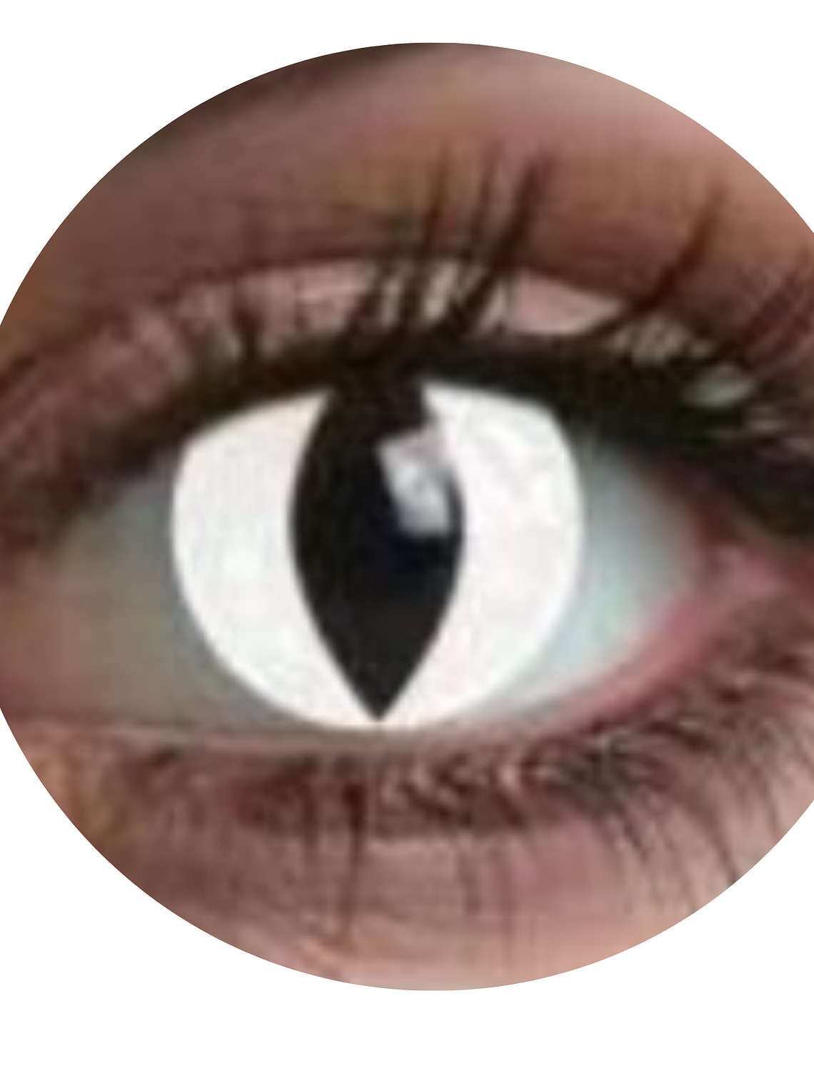 Lentes De Contacto Halloween, Cosplay Anime- OJOS DE GATO BLANCO 1