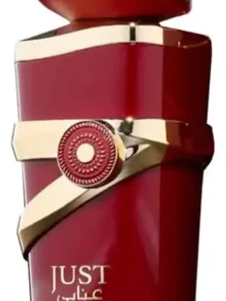 Perfume Fragrance World Just Anabi Mujer 100ml Edp Árabe Ori 1