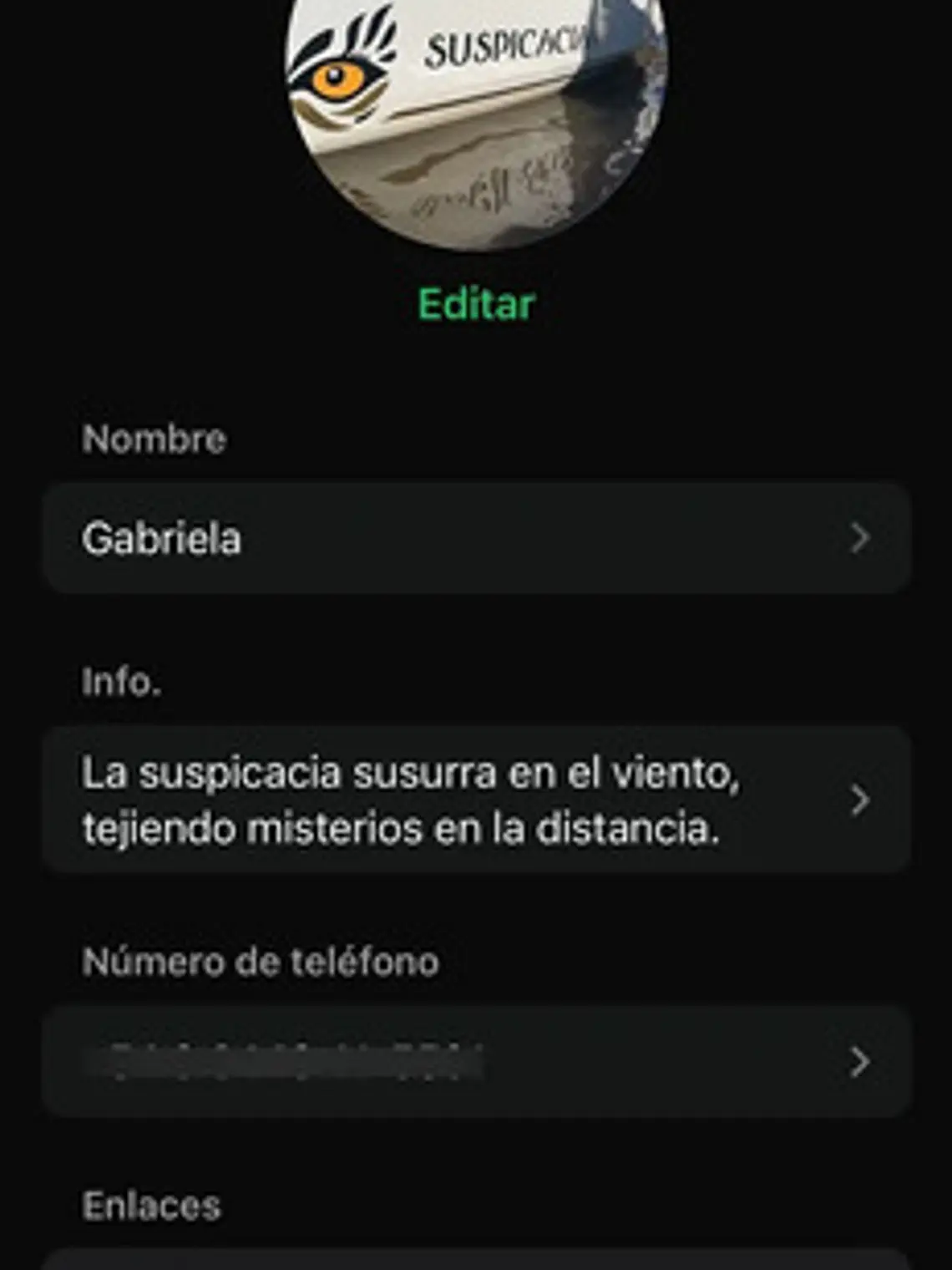 Sony Nex 7 +2  Lentes + Cargador Y 3 Baterias Usado 10