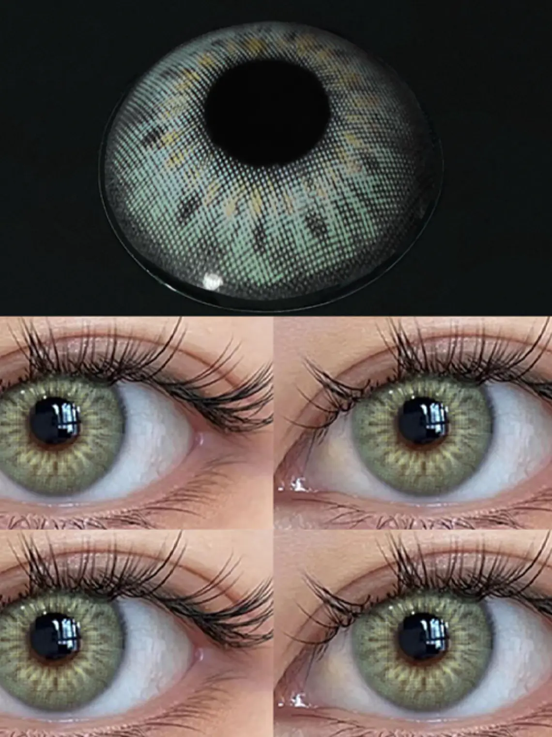 DNA Taylor Green 4