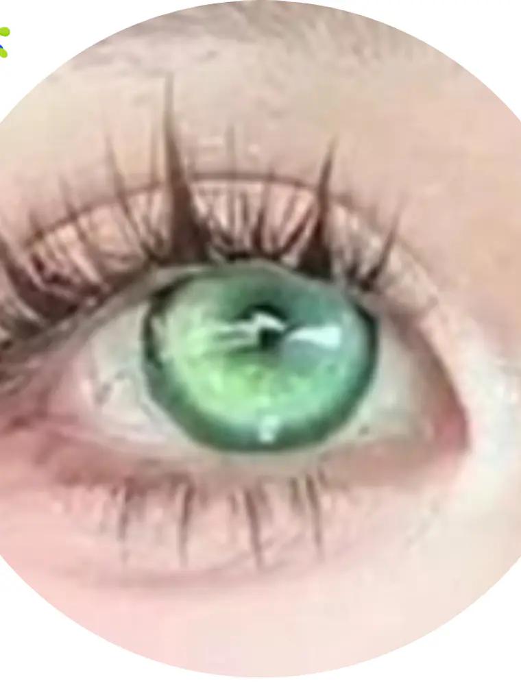 Lentes De Contacto Halloween, Cosplay Anime cyber GREEN 3