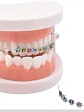 Kit Brackets Ortodoncia Simulados + Alambre | Para Práctica - Miniatura 5