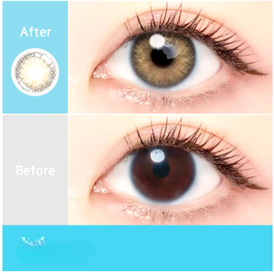 Dutch Brown 1
