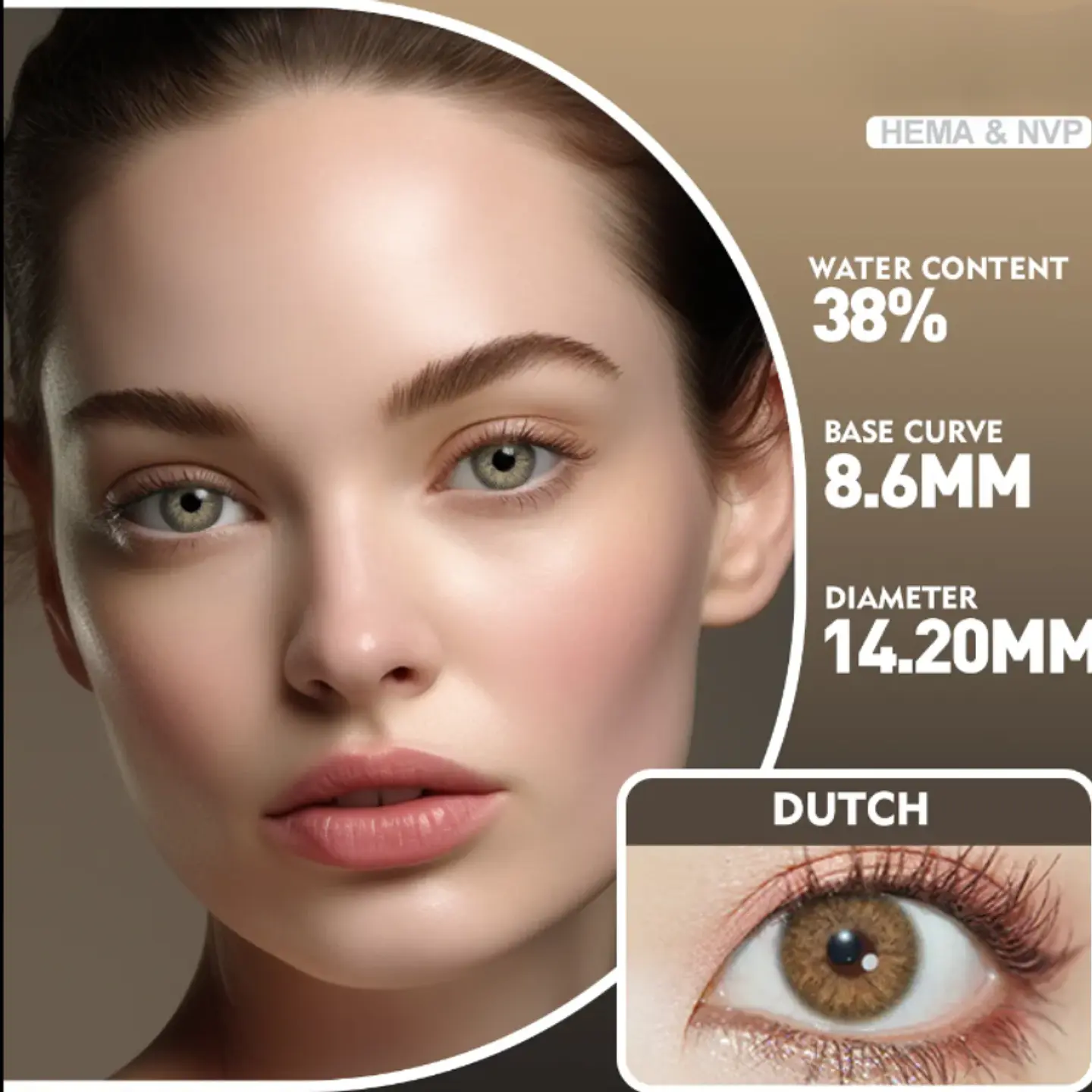 Dutch Brown 2