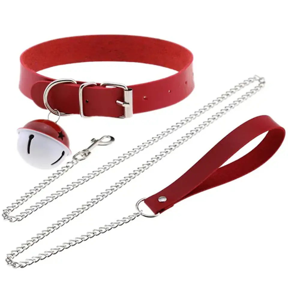 Collar con Correa 1