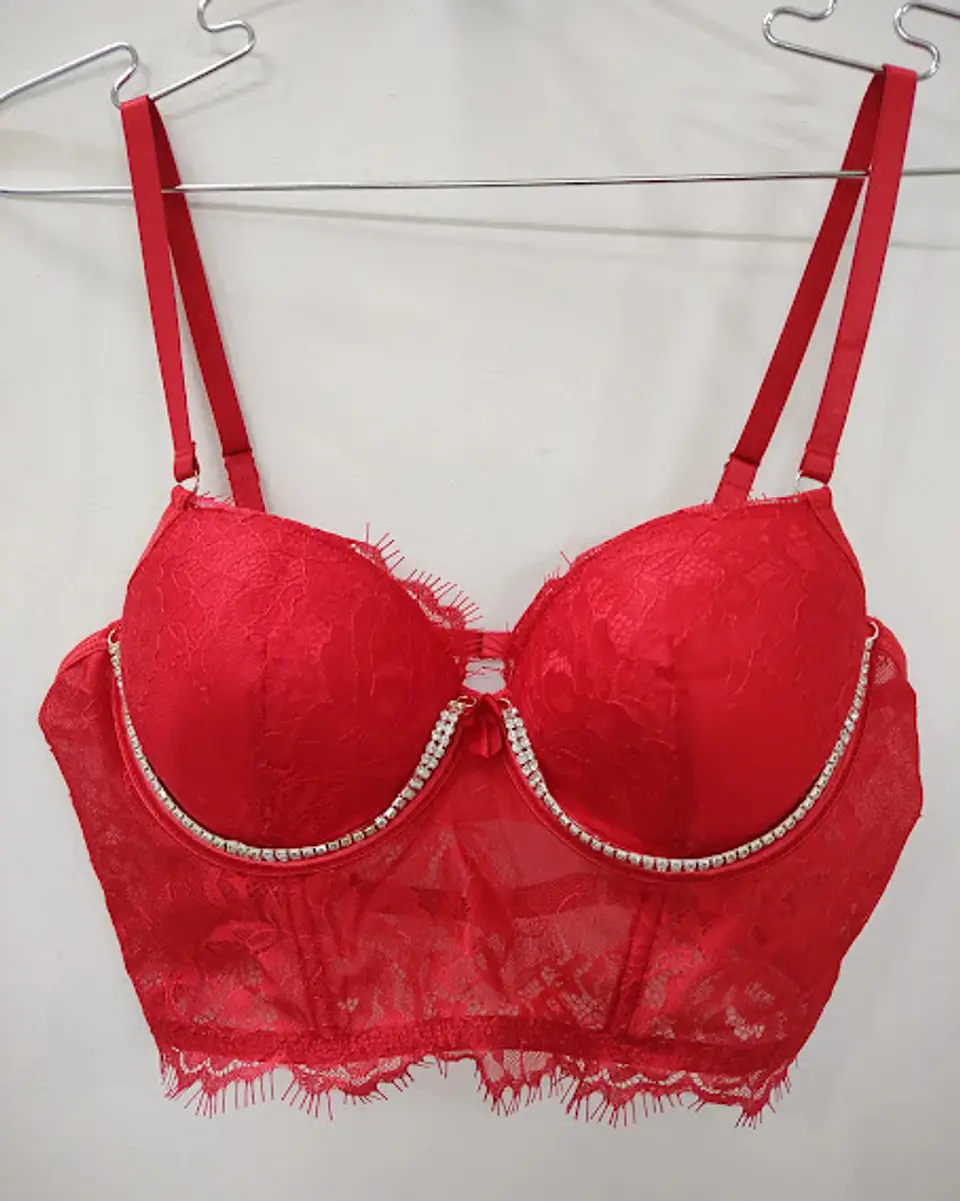 Bustier Encaje 1
