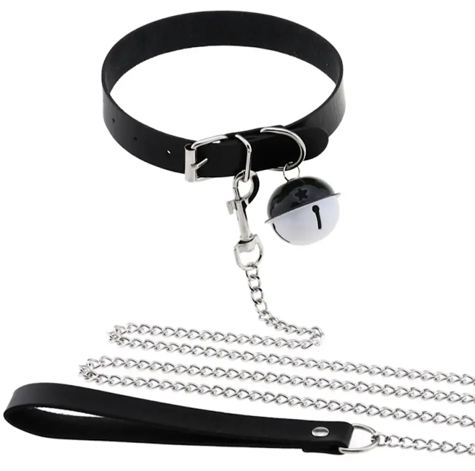 Collar con Correa 2