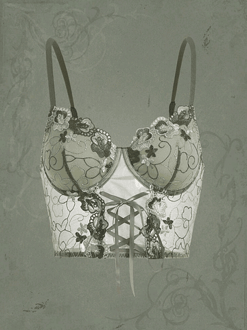 Bustier Bordado de Flores