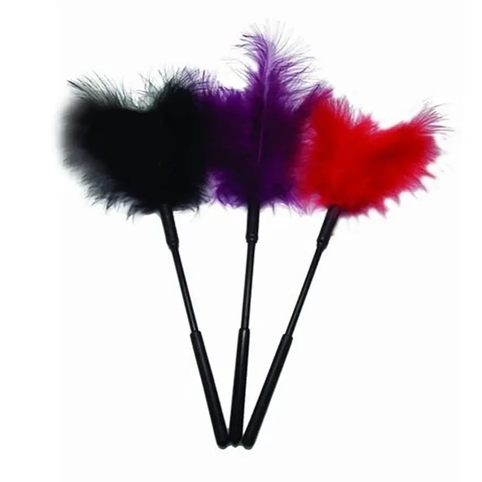 Pluma Traviesa 1