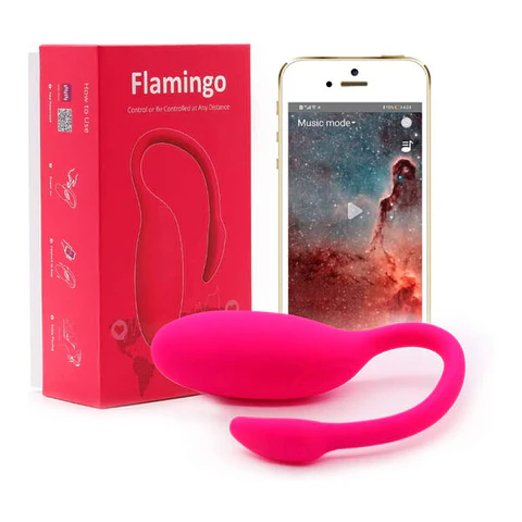 Flamingo Magic Motion