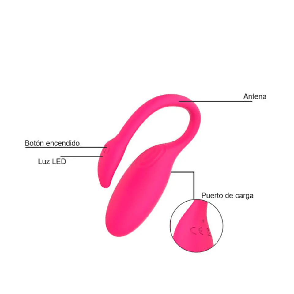 Flamingo Magic Motion 5