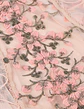Body Flores Bordadas - Miniatura 39