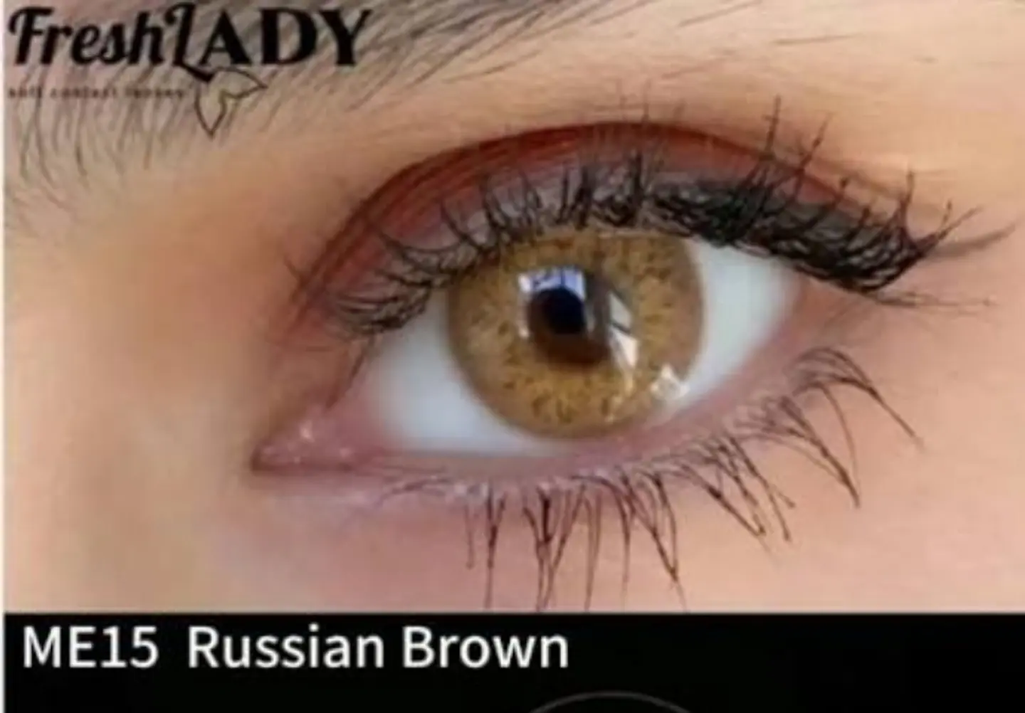 Russian brown 1
