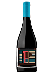 LES SINGULIERS APALTA CARMENERE - Pack x6 - 