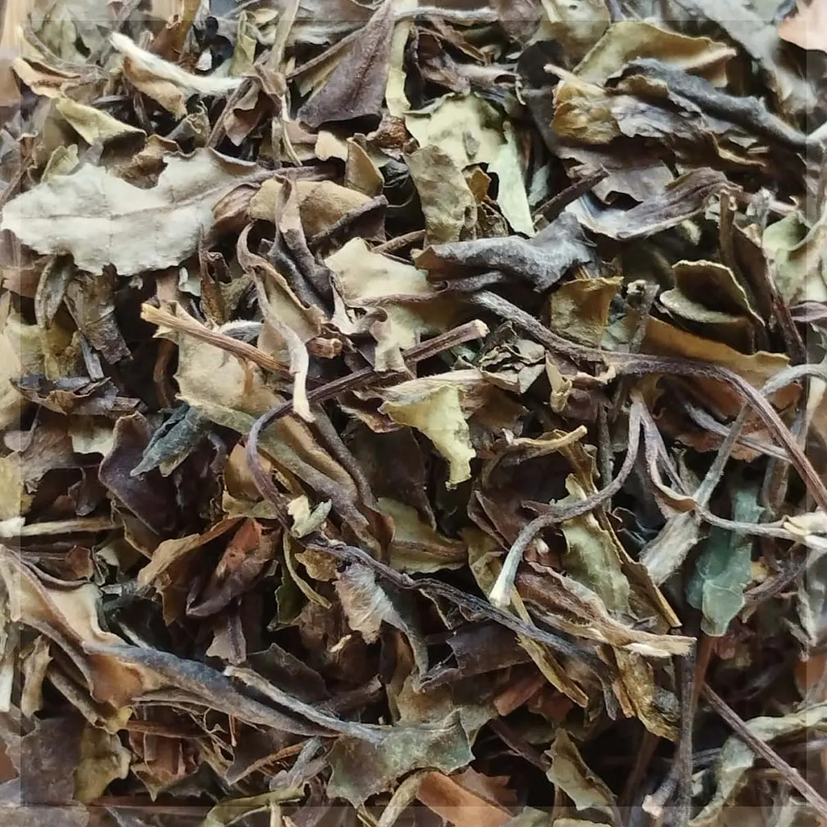 Té, Hierbas e Infusiones - Tienda Lenut