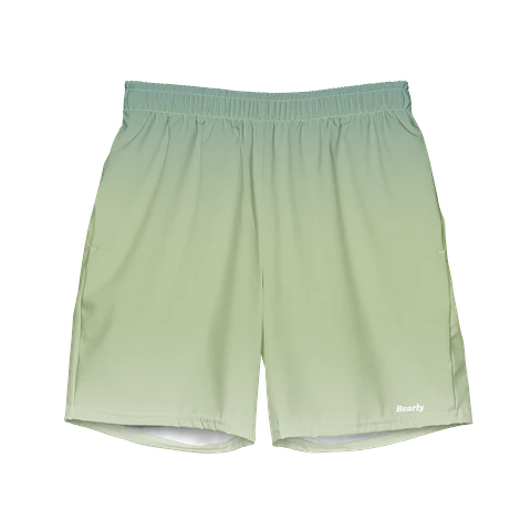 Link Swim Trunks