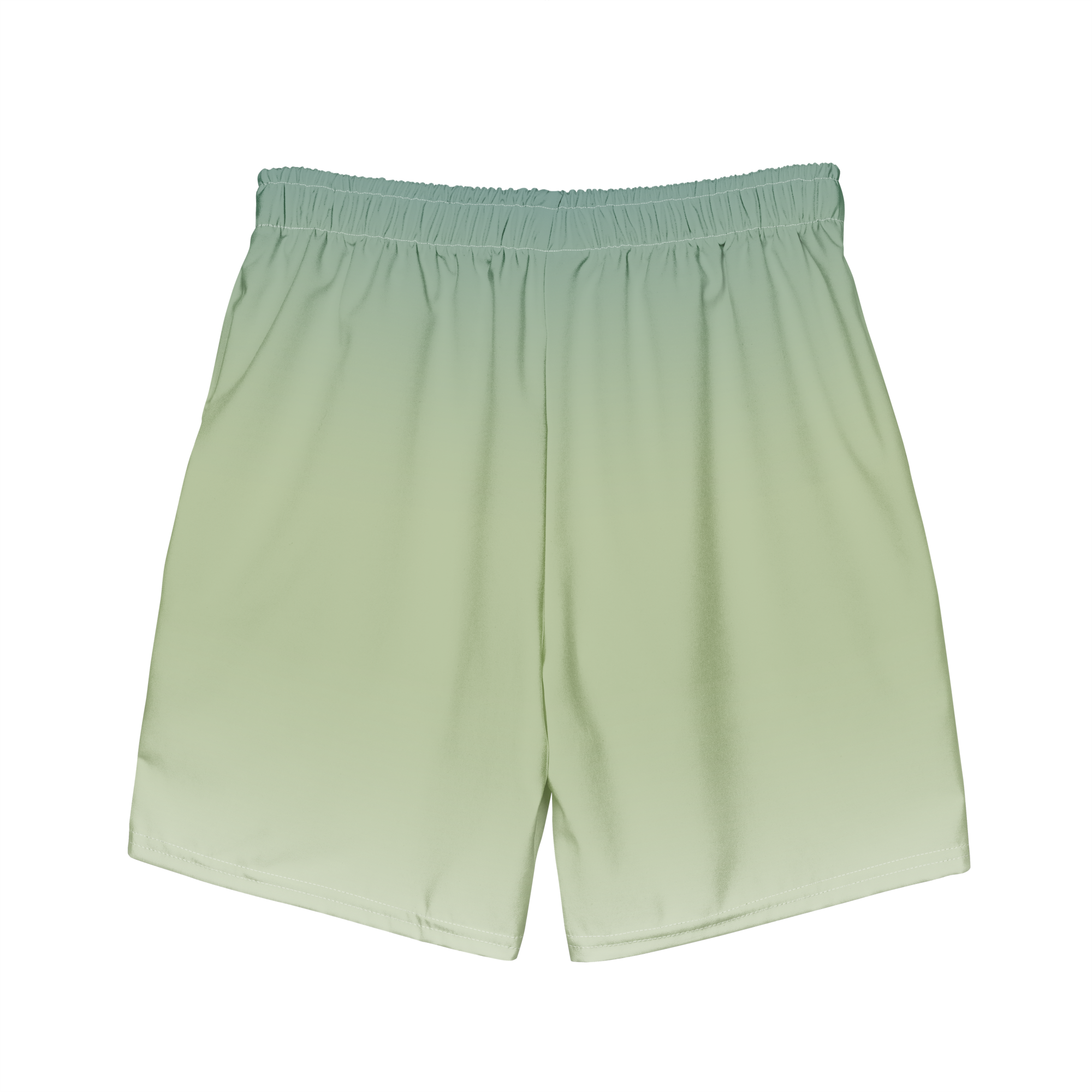 Link Swim Trunks 3