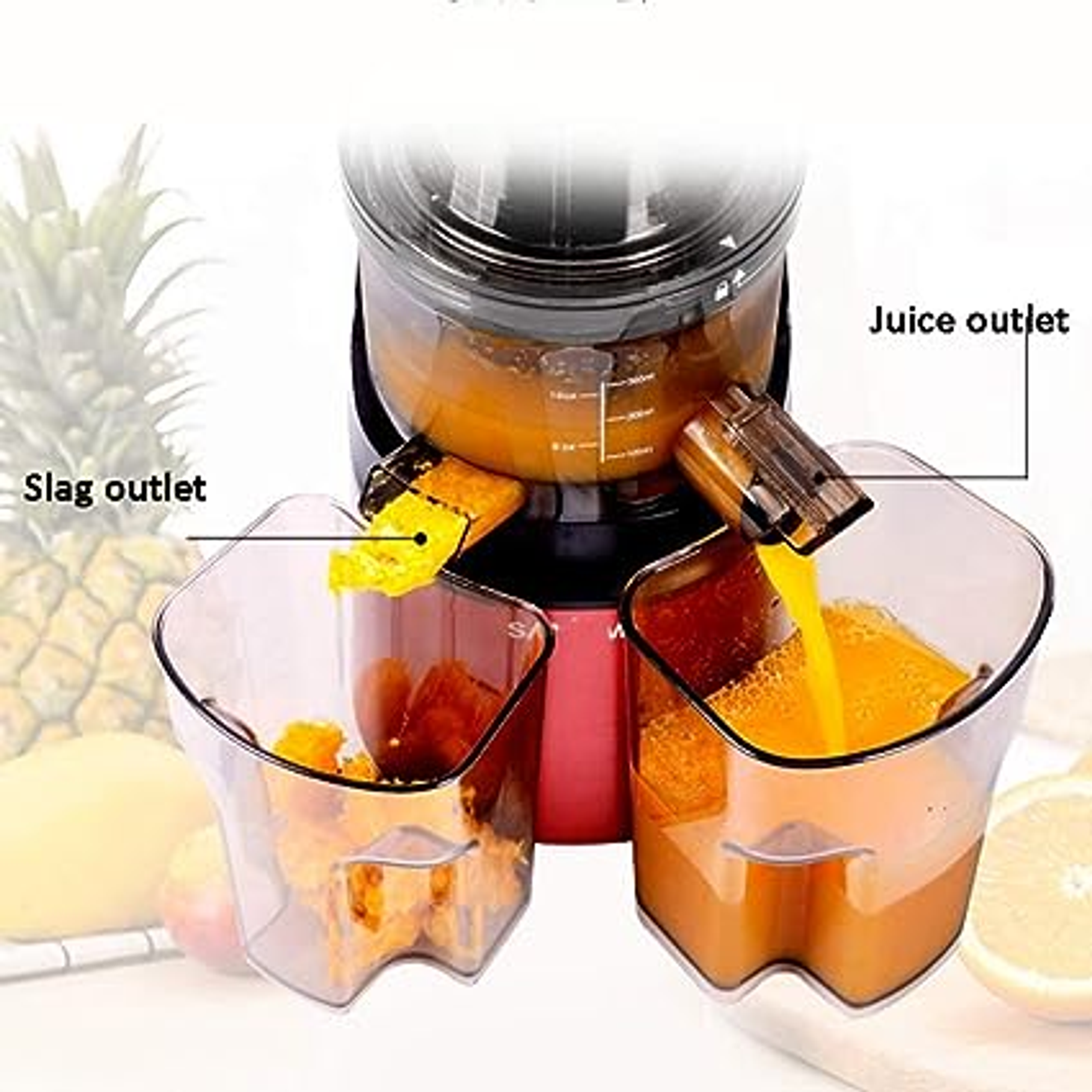 Extractor Exprimidor Lento Frutas Y Verduras Dobles Juguera Raf  8