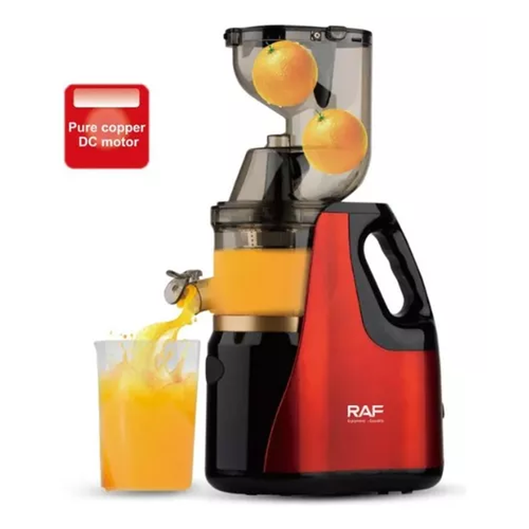 Extractor Exprimidor Lento Frutas Y Verduras Dobles Juguera Raf  6